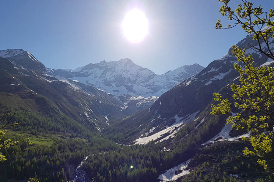 Vue sur les montagnes