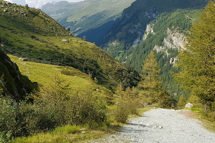 paysage montagnes