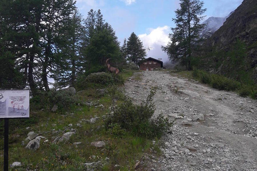 Cabane Petit Mountet