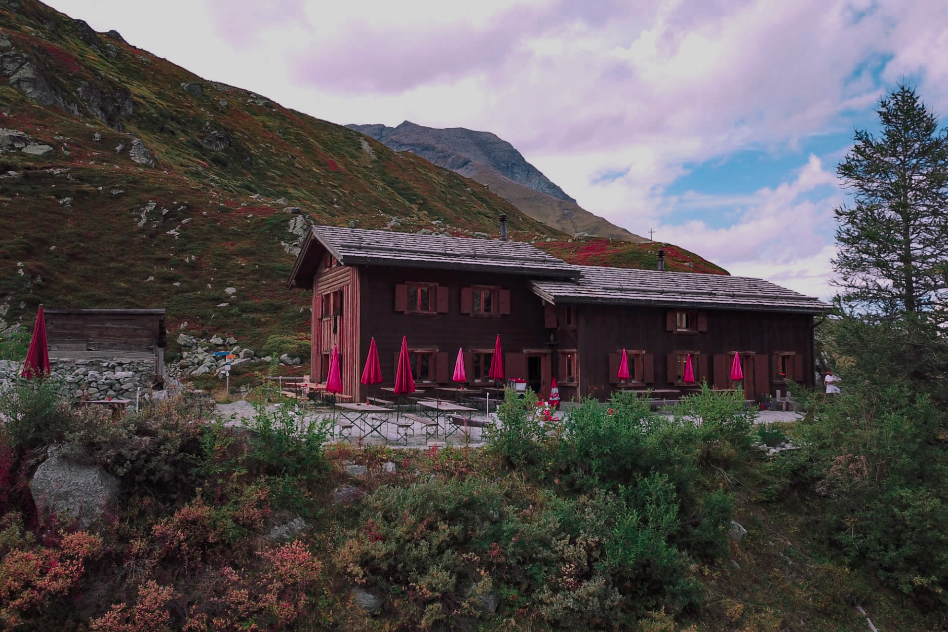 La cabane